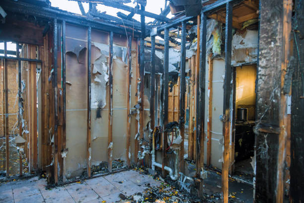 Professional Fire Damage Removal technician working in Bloomingdale, IL